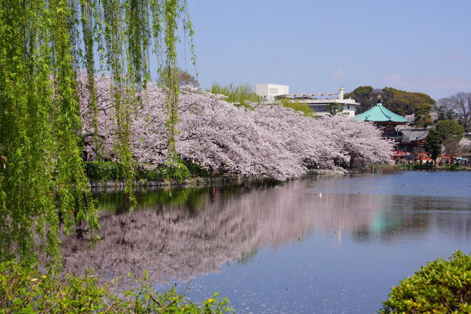 Sotetsu Fresa Tokyo-kyobashi 3* Präfektur Tokio